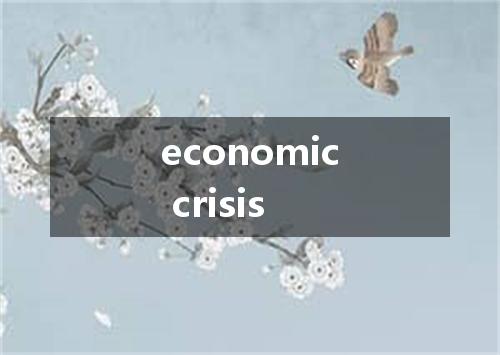 economic crisis是什么意思