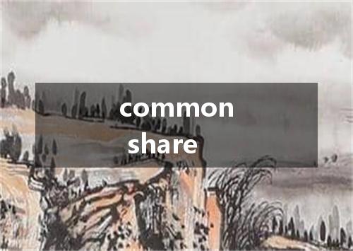 common share是什么意思