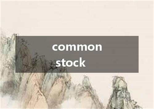 common stock是什么意思