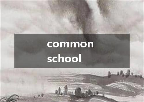 common school是什么意思