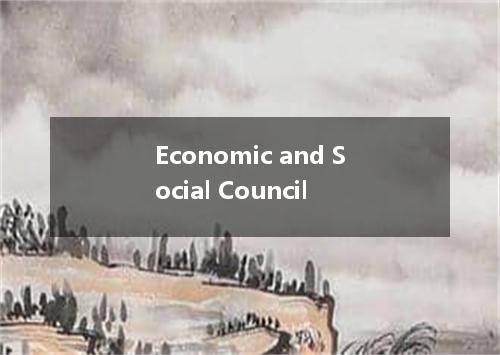 Economic and Social Council是什么意思