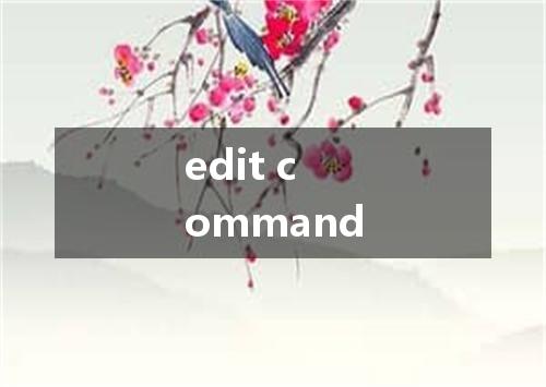 edit command是什么意思