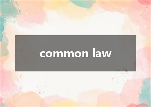 common law是什么意思