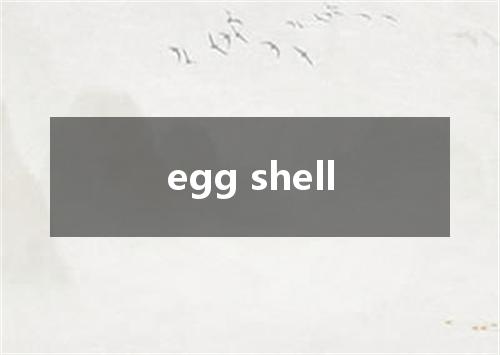 egg shell是什么意思