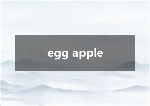 egg apple是什么意思