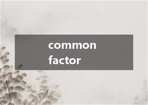 common factor是什么意思