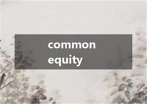 common equity是什么意思