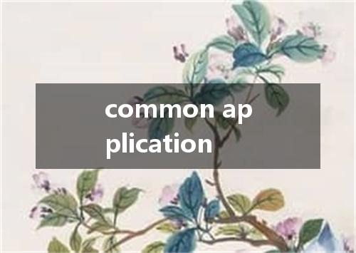 common application是什么意思