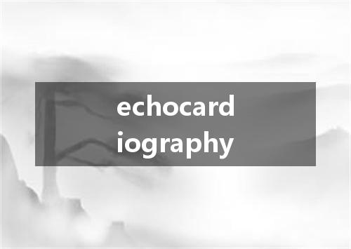 echocardiography是什么意思
