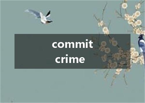 commit crime是什么意思
