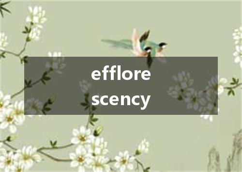 efflorescency是什么意思