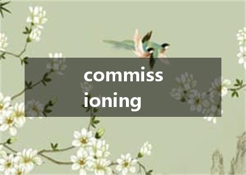 commissioning是什么意思