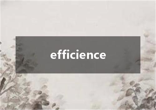efficience是什么意思