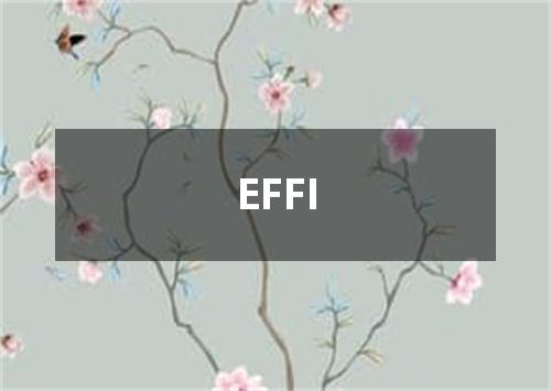 EFFI是什么意思