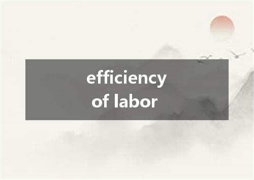 efficiency of labor是什么意思