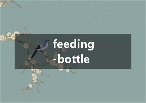 feeding-bottle是什么意思