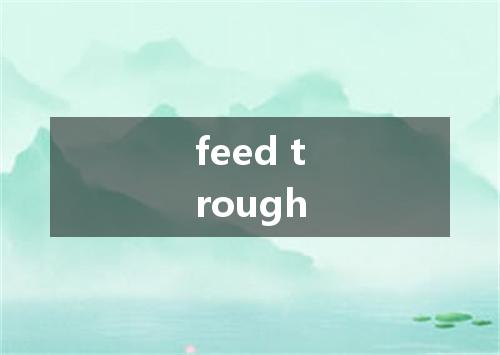 feed trough是什么意思