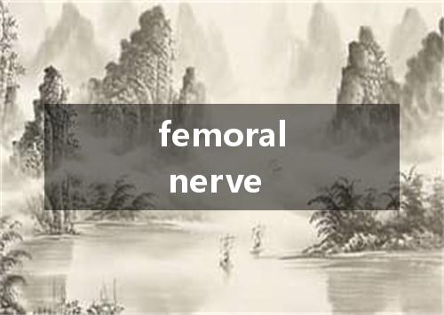 femoral nerve是什么意思