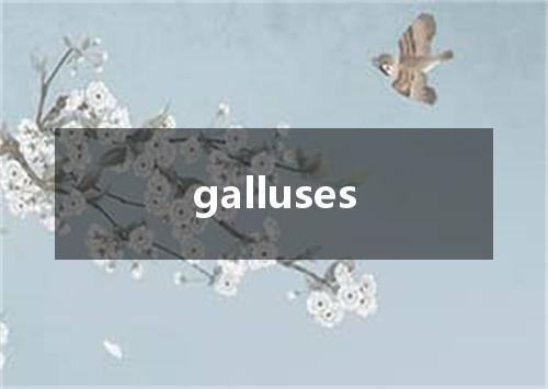 galluses是什么意思
