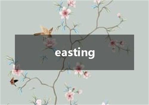 easting是什么意思