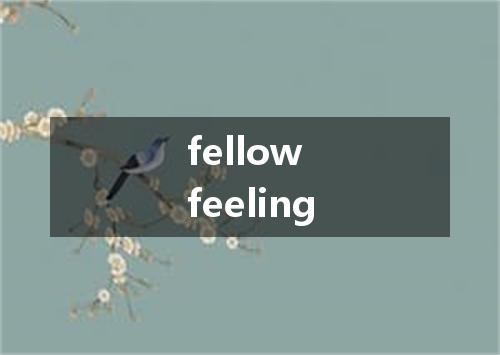 fellow feeling是什么意思