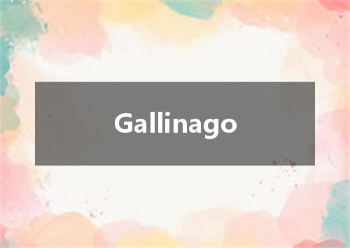 Gallinago是什么意思