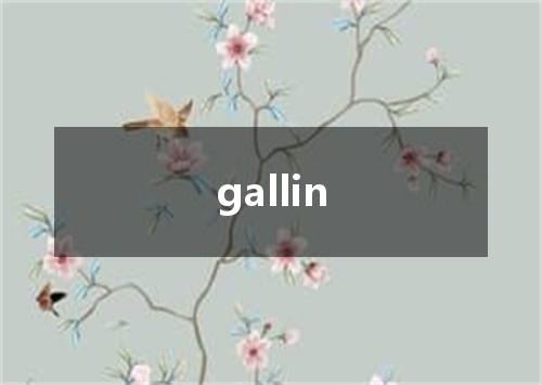 gallin是什么意思