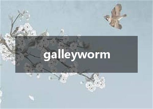 galleyworm是什么意思