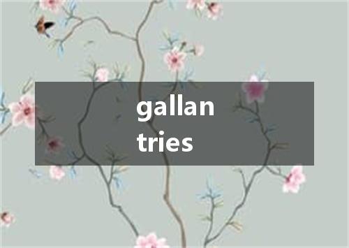 gallantries是什么意思