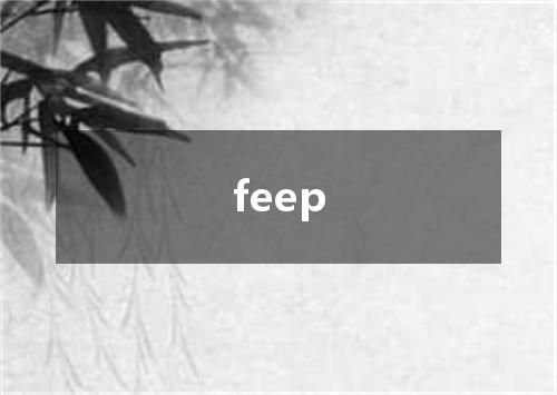 feep是什么意思