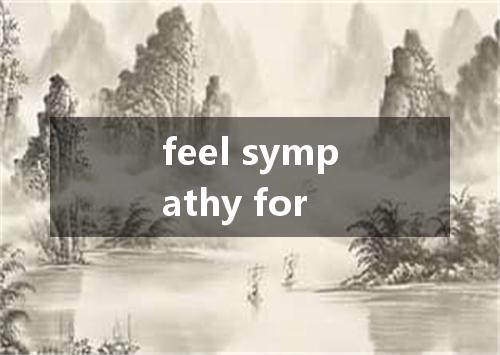 feel sympathy for是什么意思