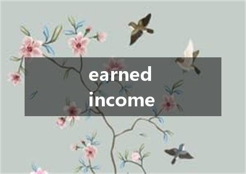 earned income是什么意思