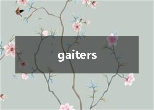 gaiters是什么意思