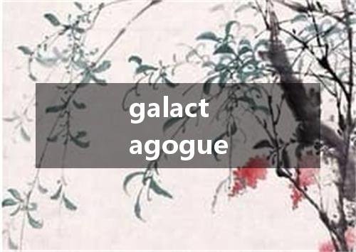 galactagogue是什么意思