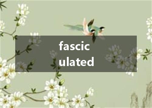 fasciculated是什么意思