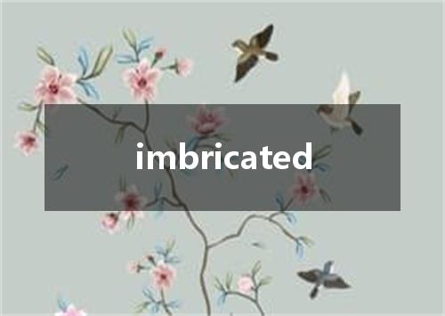 imbricated是什么意思