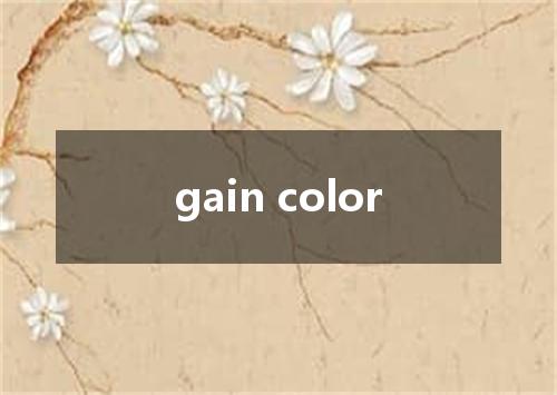 gain color是什么意思