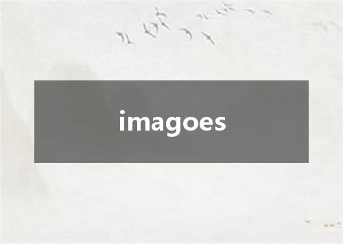 imagoes是什么意思