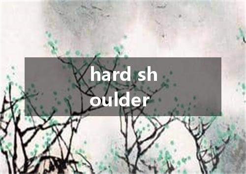 hard shoulder是什么意思