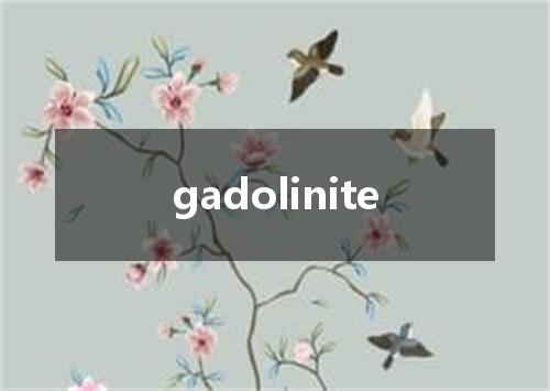 gadolinite是什么意思