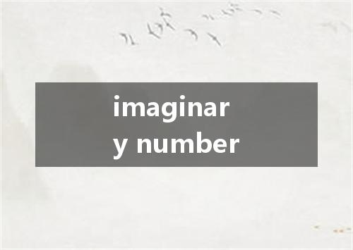 imaginary number是什么意思