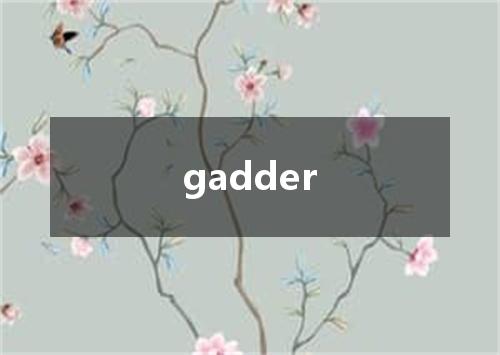 gadder是什么意思