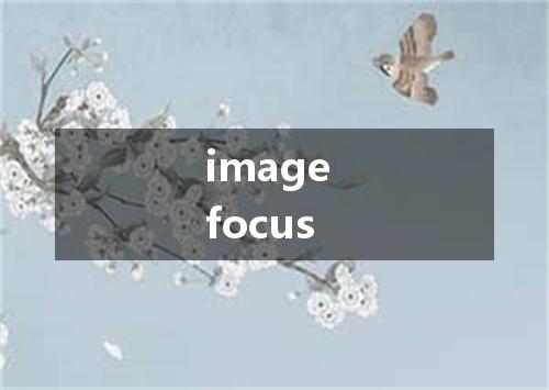 image focus是什么意思