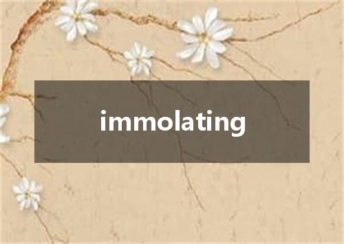 immolating是什么意思