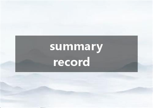 summary record是什么意思
