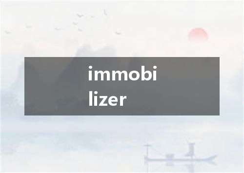 immobilizer是什么意思