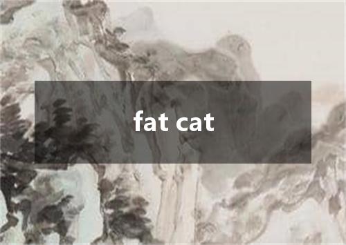 fat cat是什么意思