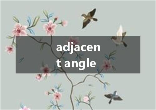 adjacent angle是什么意思