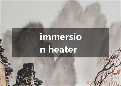 immersion heater是什么意思