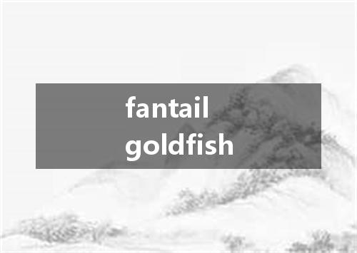 fantail goldfish是什么意思